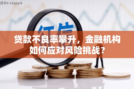 永平贷款不良率攀升，金融机构如何应对风险挑战？
