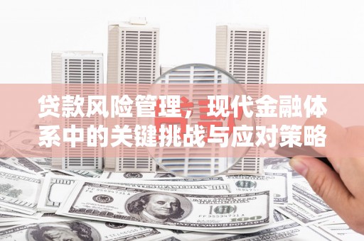 田家庵贷款风险管理，现代金融体系中的关键挑战与应对策略