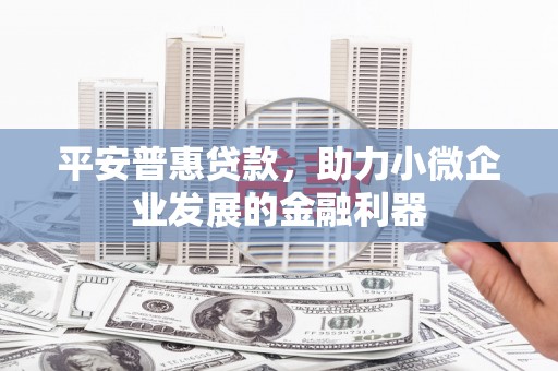 东宝平安普惠贷款，助力小微企业发展的金融利器