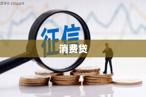 泰山消费贷