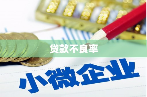 芦山贷款不良率