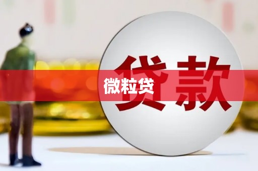 岭东微粒贷
