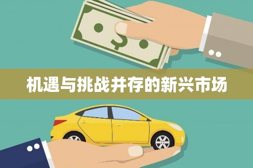 芦淞机遇与挑战并存的新兴市场