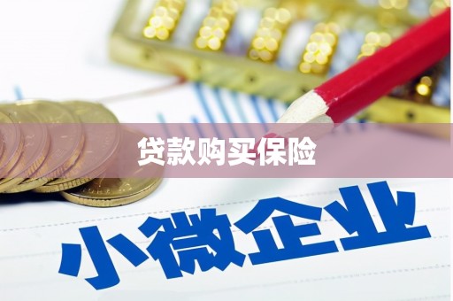 九台贷款购买保险