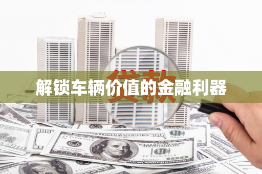 武川解锁车辆价值的金融利器