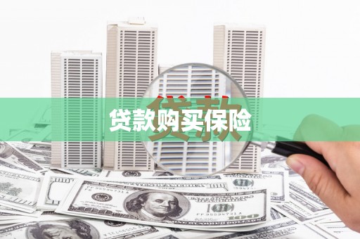 全州贷款购买保险