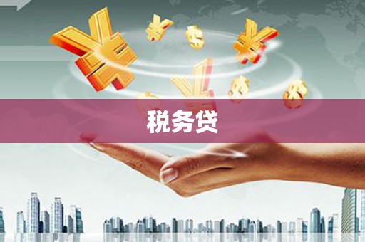 龙游税务贷